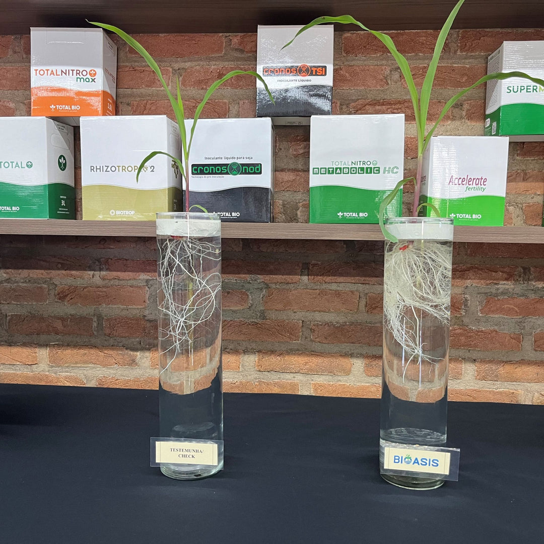 BIOASIS®