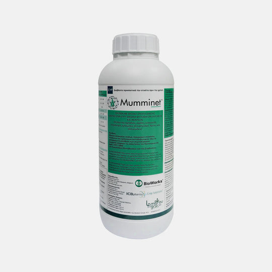 Mumminet®