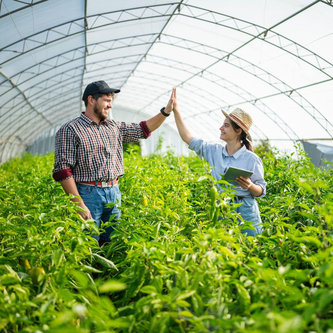 2 people giving high five in greenhouse